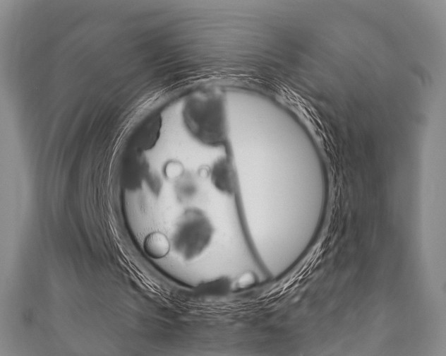 X0000111920145200907271016