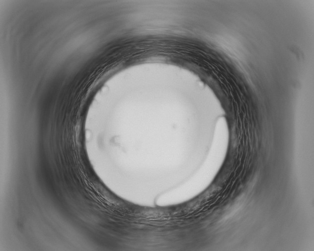 X0000111920146200907271016