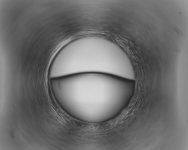 X0000111920148200907271016