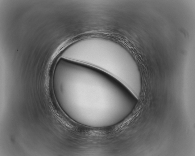 X0000111920150200907271016