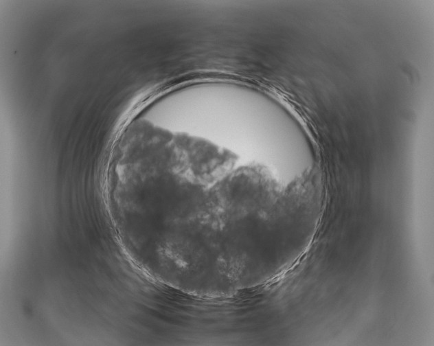 X0000111920151200907271016