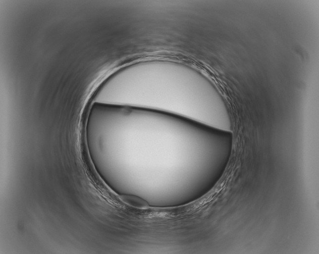 X0000111920152200907271016