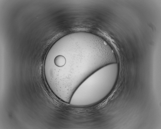 X0000111920153200907271016