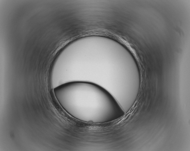 X0000111920154200907271016