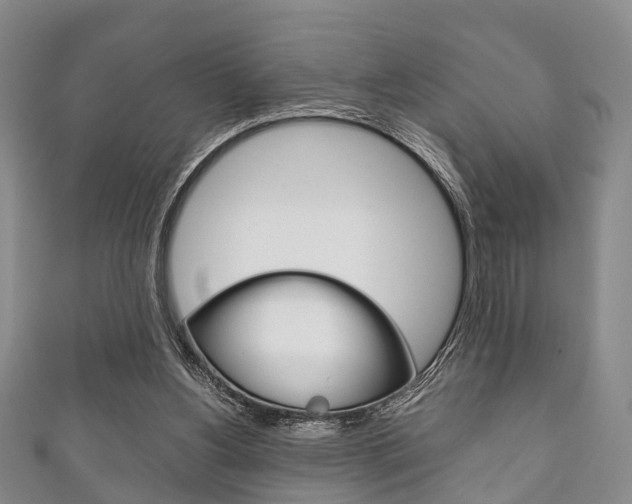 X0000111920156200907271016