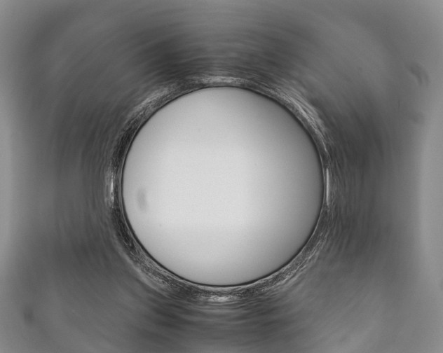 X0000111920157200907271016