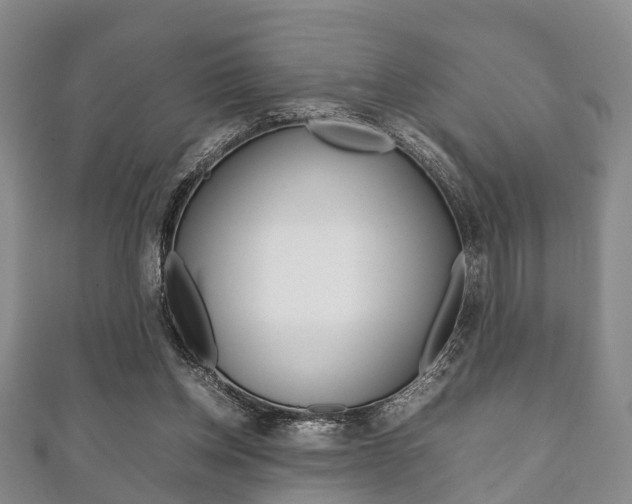 X0000111920158200907271016