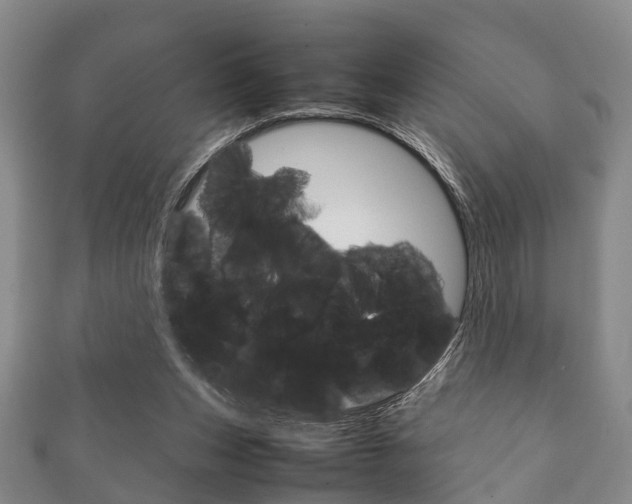 X0000111920159200907271016