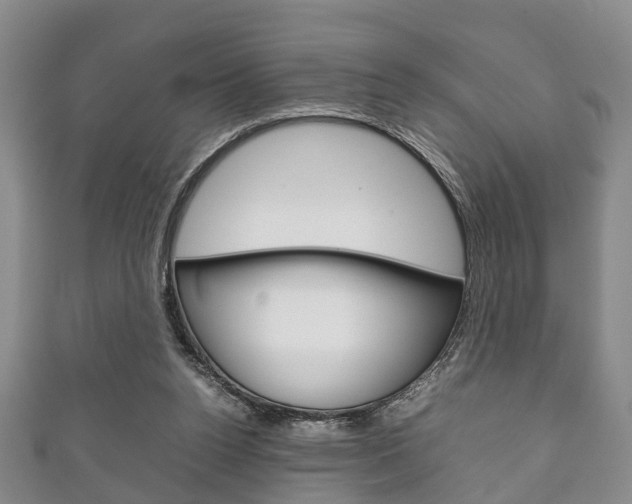 X0000111920160200907271016
