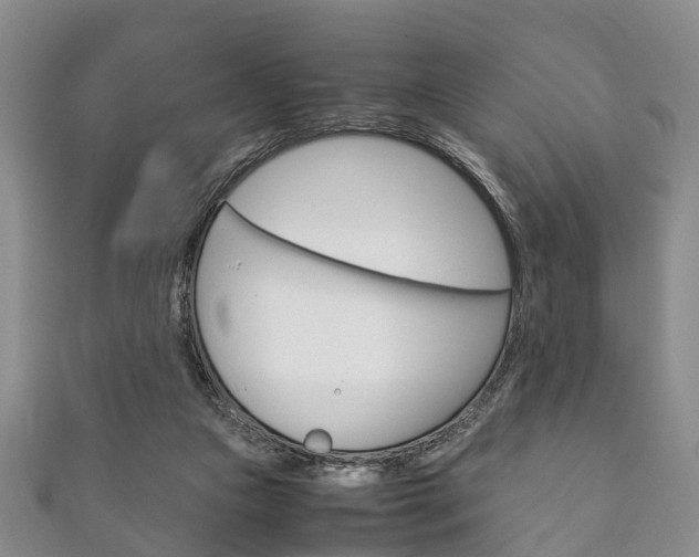 X0000111920161200907271016
