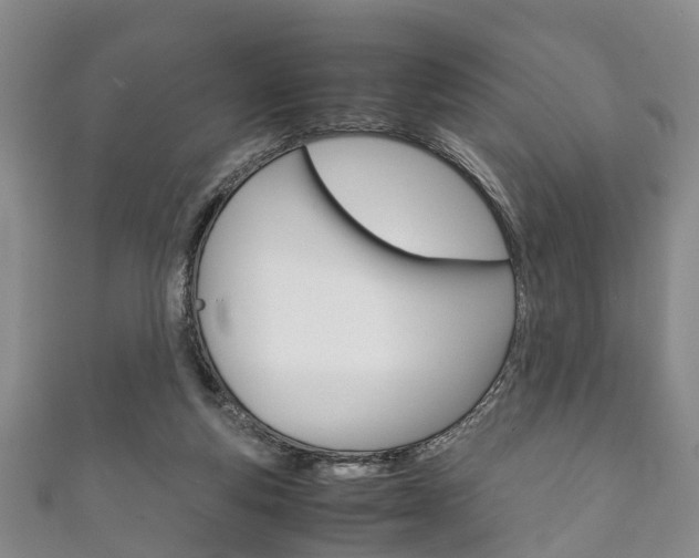X0000111920163200907271016