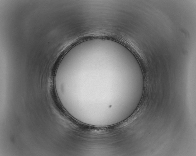 X0000111920164200907271016