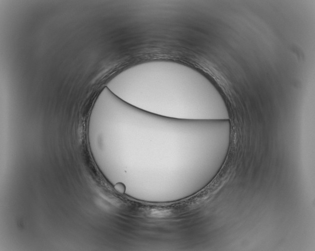 X0000111920165200907271017