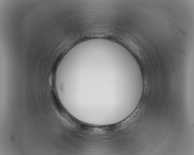 X0000111920166200907271017