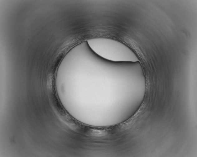 X0000111920167200907271017