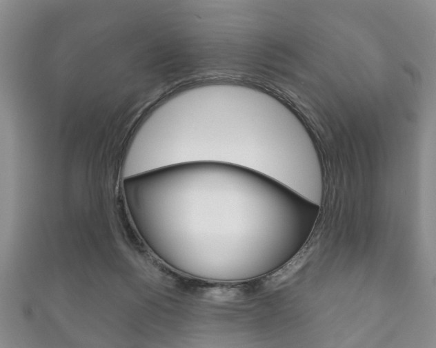 X0000111920168200907271017