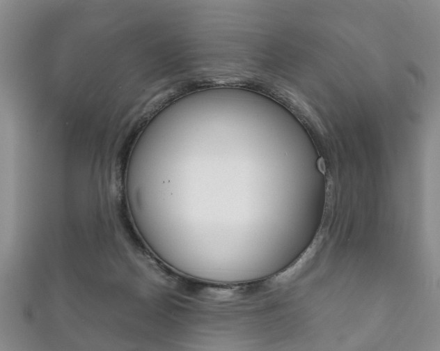 X0000111920170200907271017