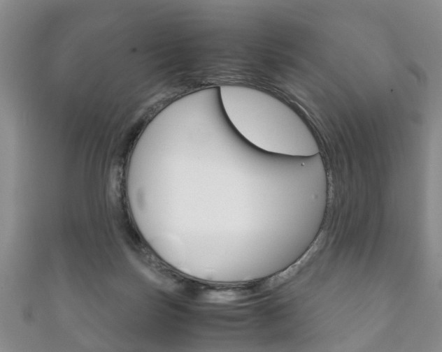 X0000111920171200907271017