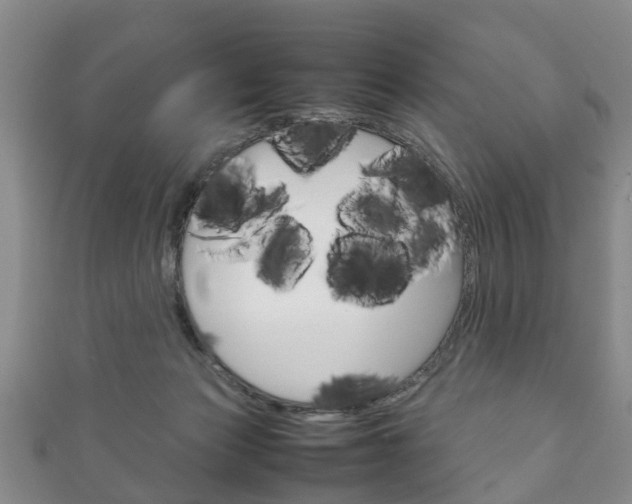 X0000111920173200907271017