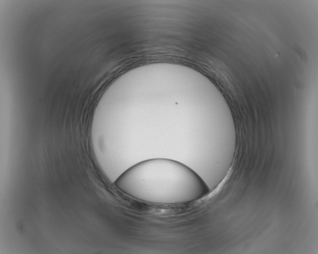 X0000111920174200907271017