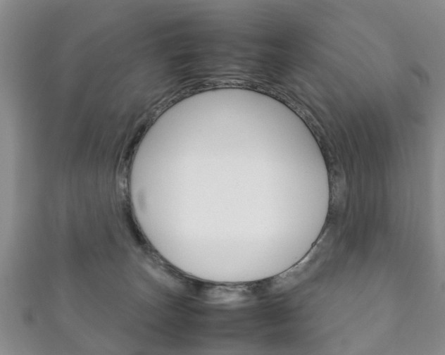X0000111920179200907271017