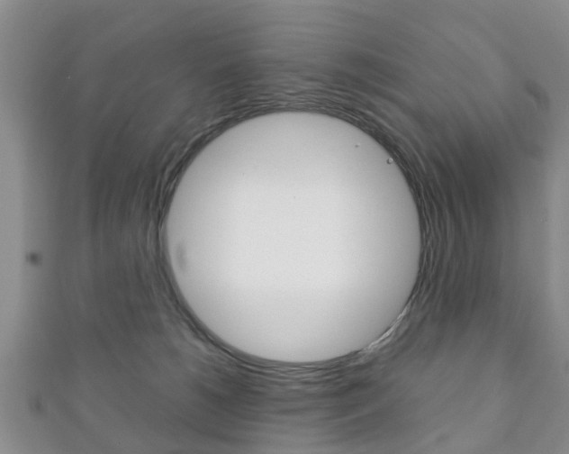 X0000111920180200907271017