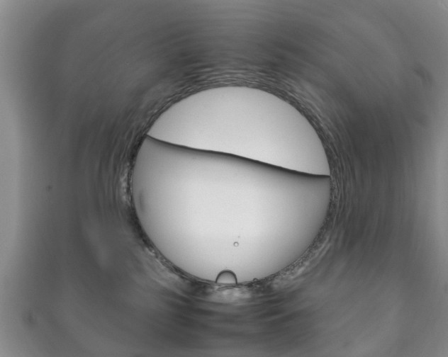X0000111920185200907271017