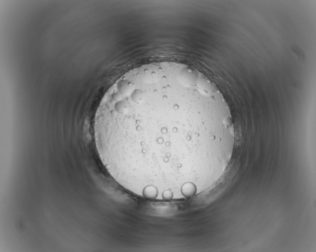 X0000111920187200907271017