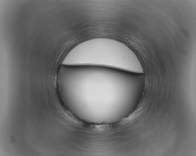 X0000111920188200907271017