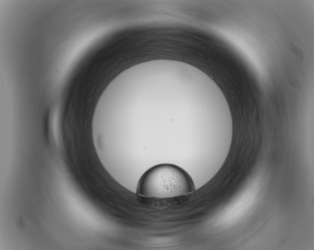 X0000111920189200907271017