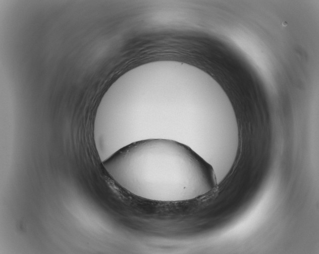 X0000111920190200907271017
