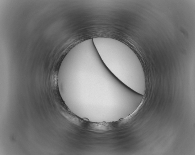 X0000111920191200907271017