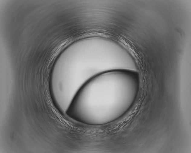 X0000111920193200907271016