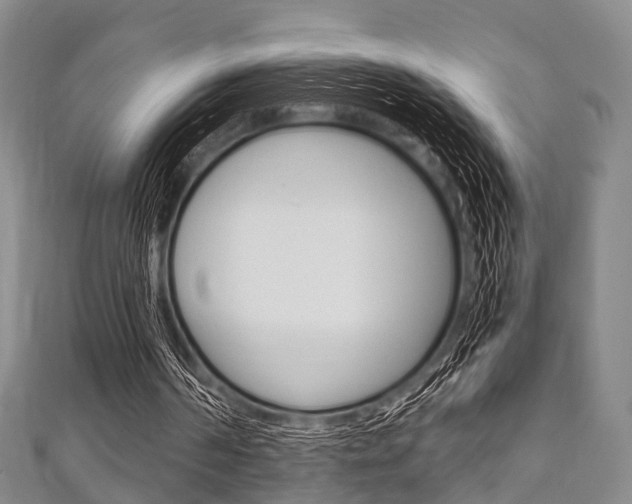 X0000111920194200907271016