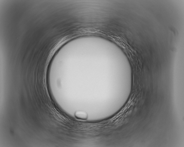 X0000111920195200907271016