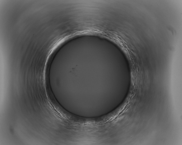 X0000111920196200907271016