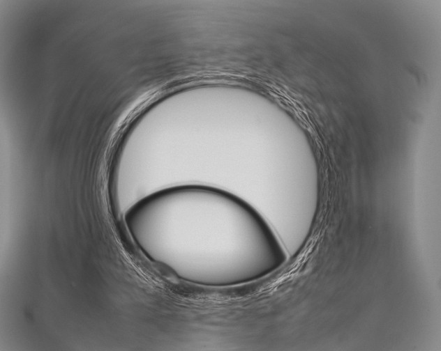 X0000111920197200907271016