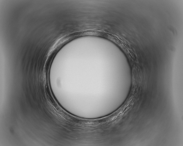 X0000111920198200907271016