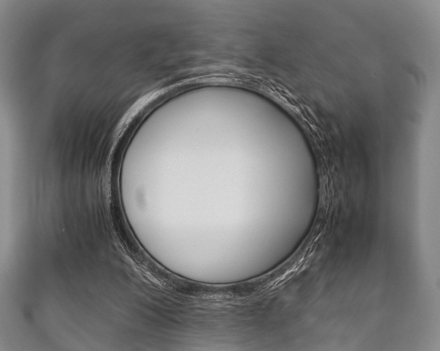 X0000111920200200907271016