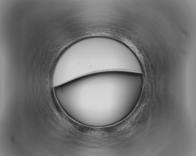 X0000111920201200907271016
