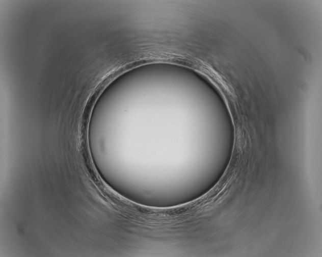 X0000111920203200907271016