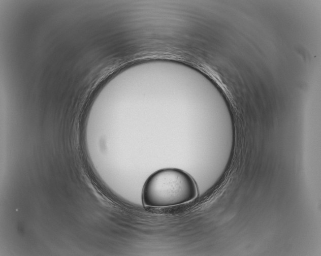 X0000111920205200907271016