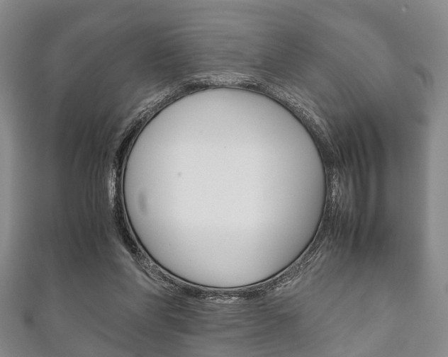 X0000111920206200907271016