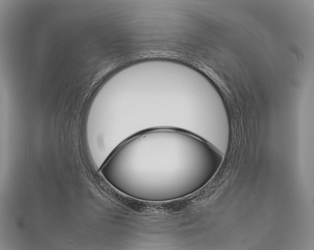 X0000111920207200907271016