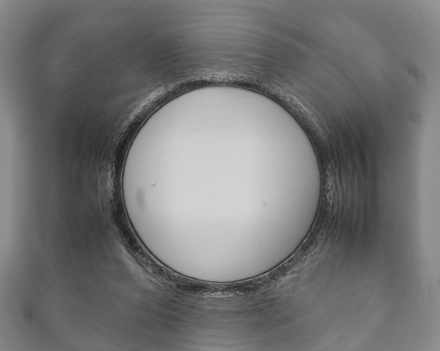 X0000111920208200907271016