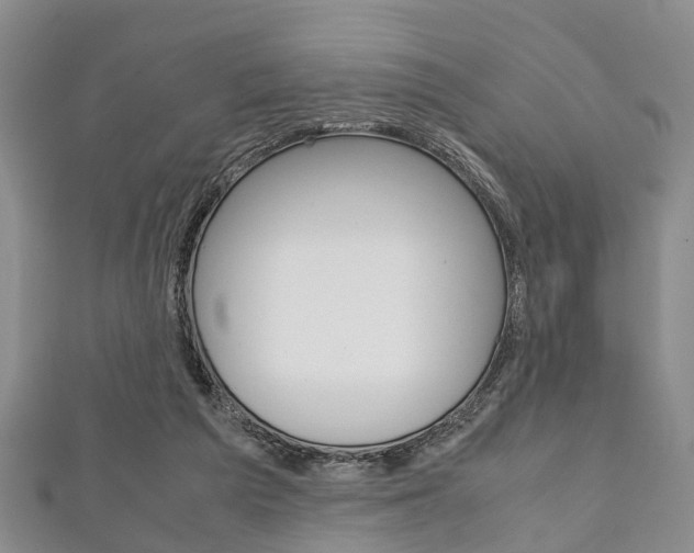 X0000111920209200907271016