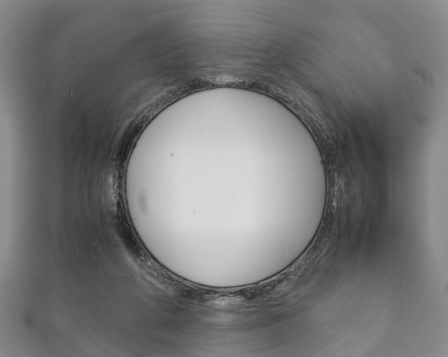 X0000111920210200907271016