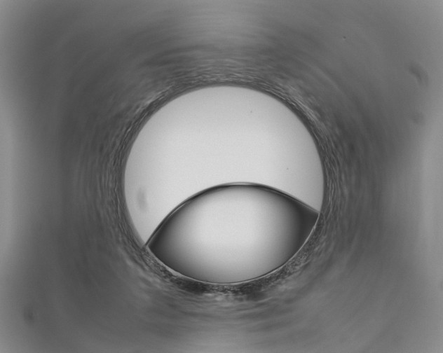 X0000111920211200907271016