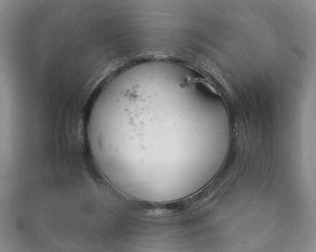 X0000111920212200907271016