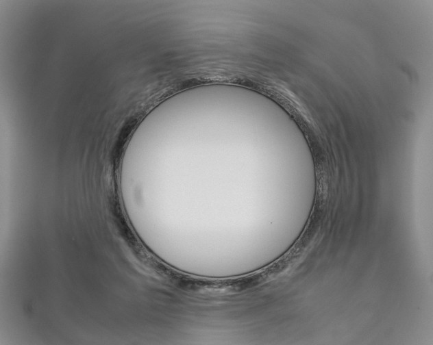 X0000111920213200907271016